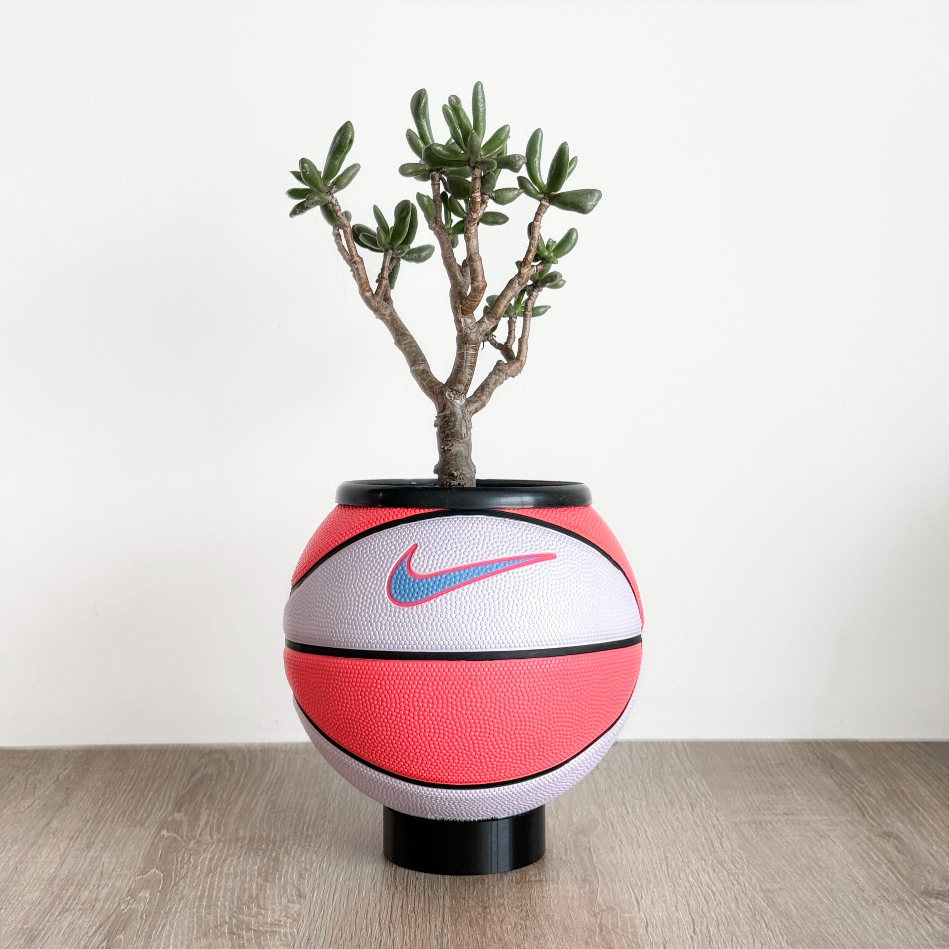 Matera mini basket plant pink candy