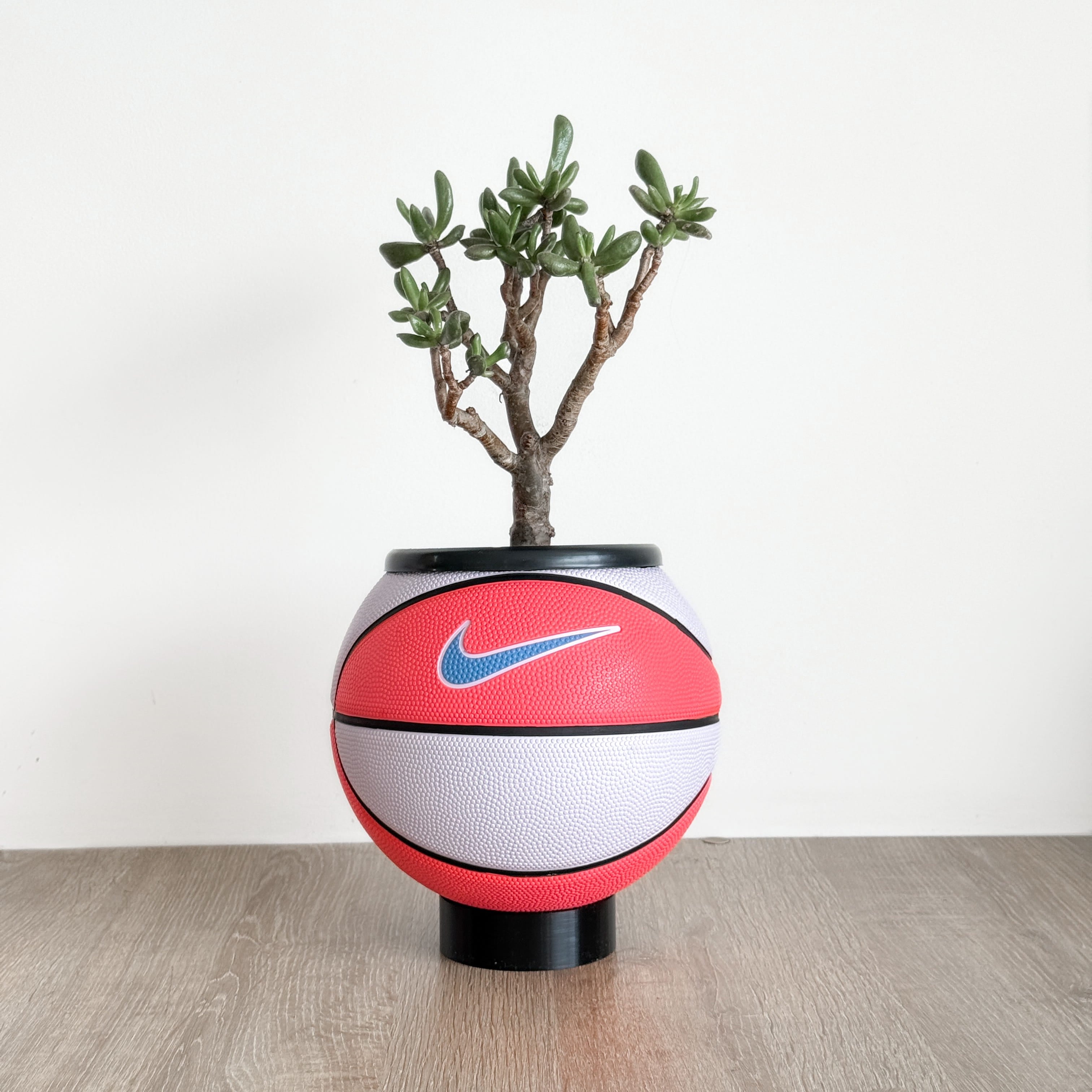 Matera mini basket plant pink candy