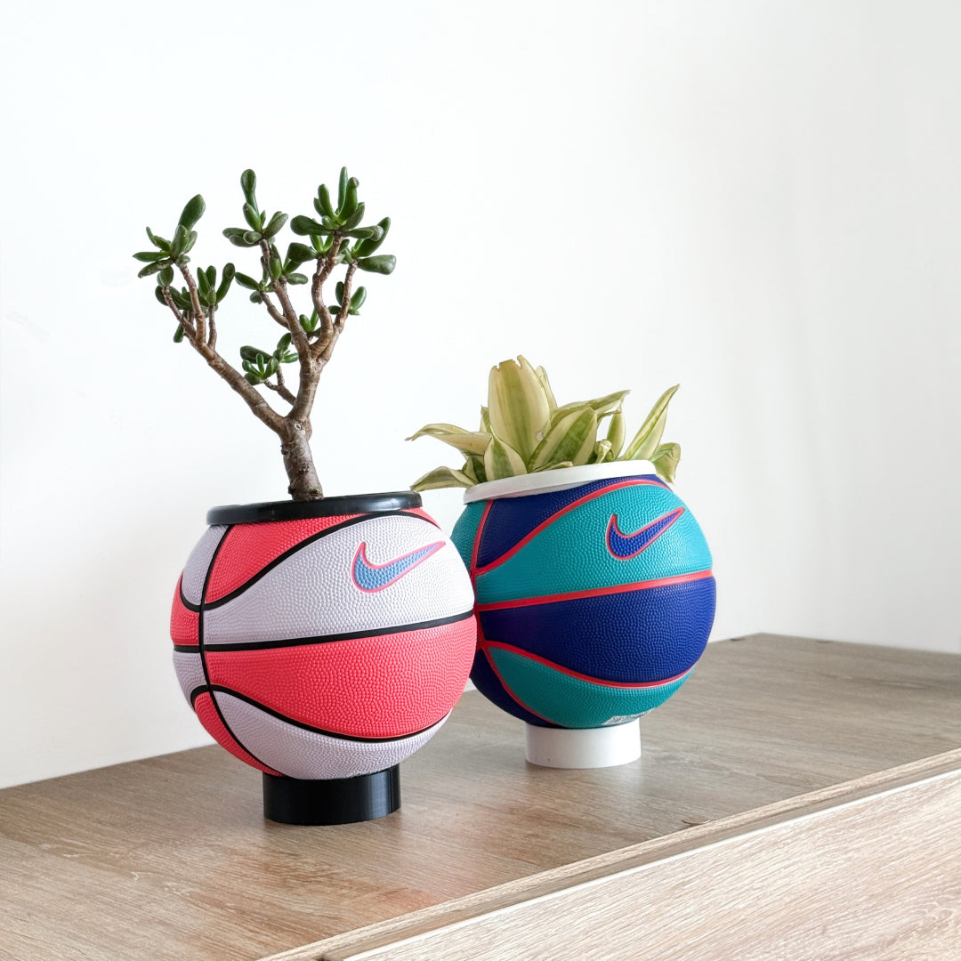Matera mini basket plant pink candy