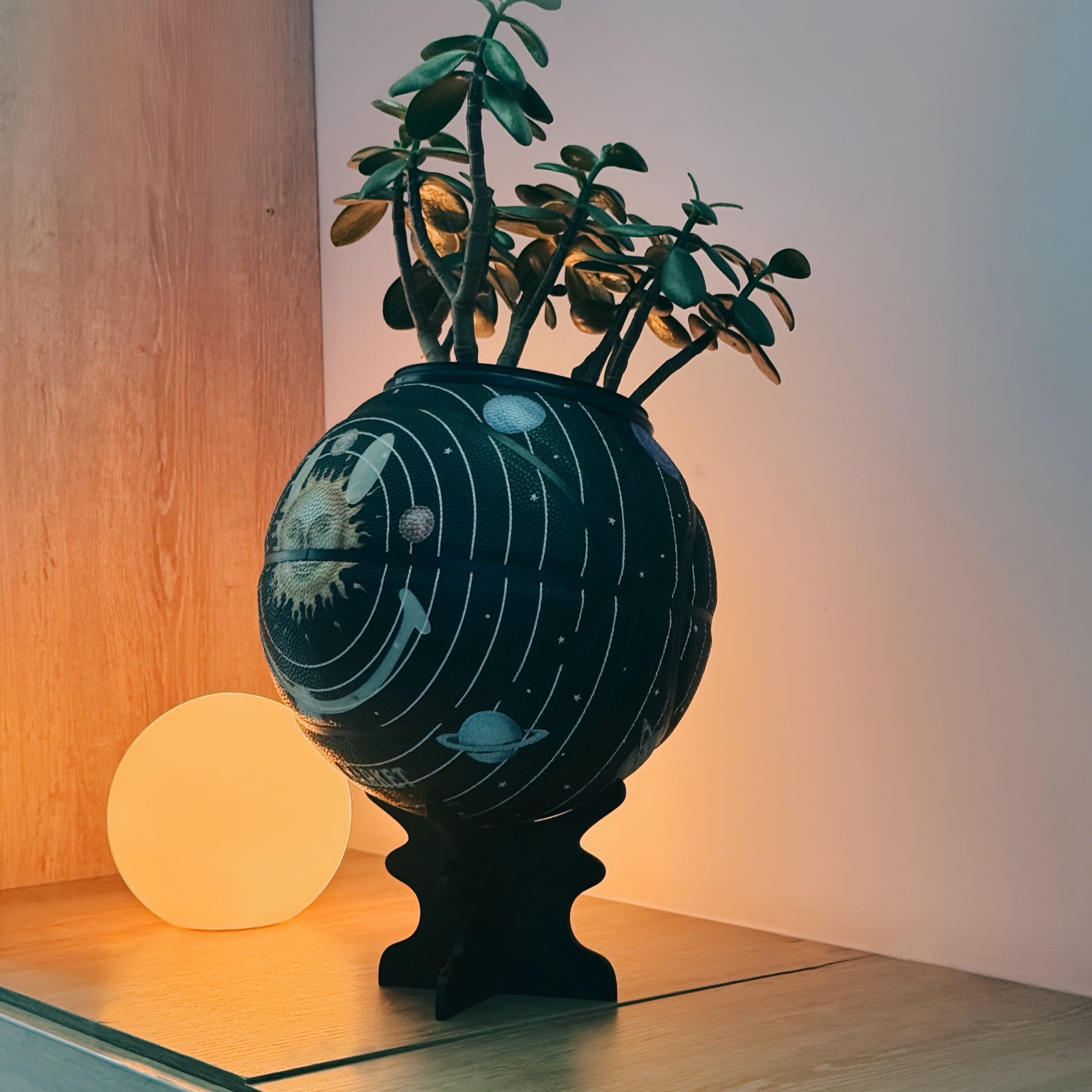 Soporte Bloom