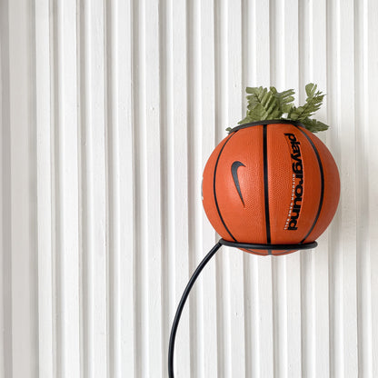 Matera basket plant Just do it