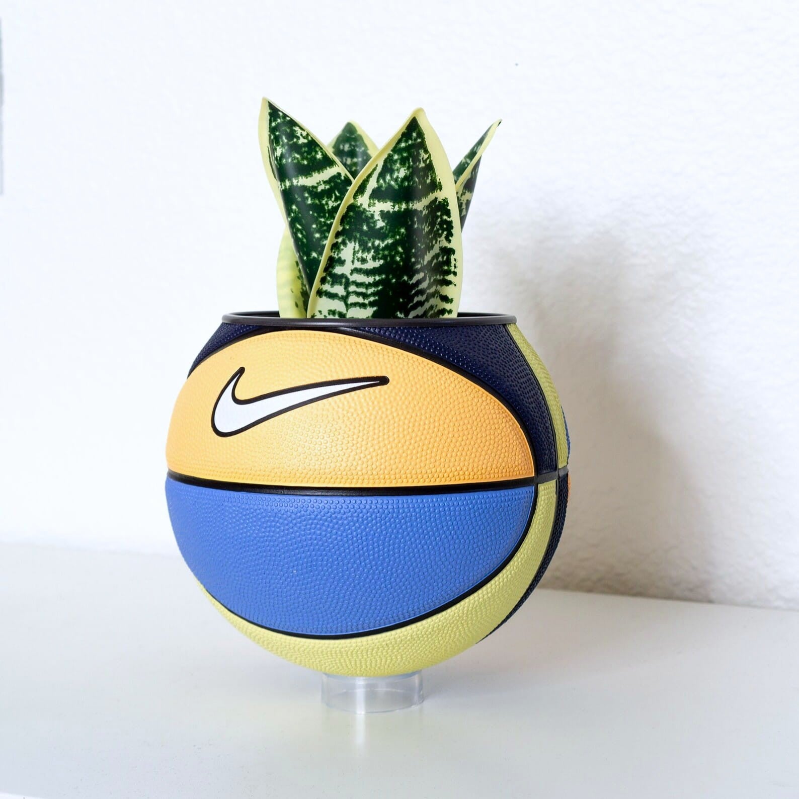 Matera mini basket plant Melon