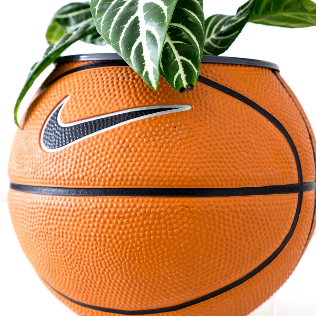 Matera mini basket plant clasica