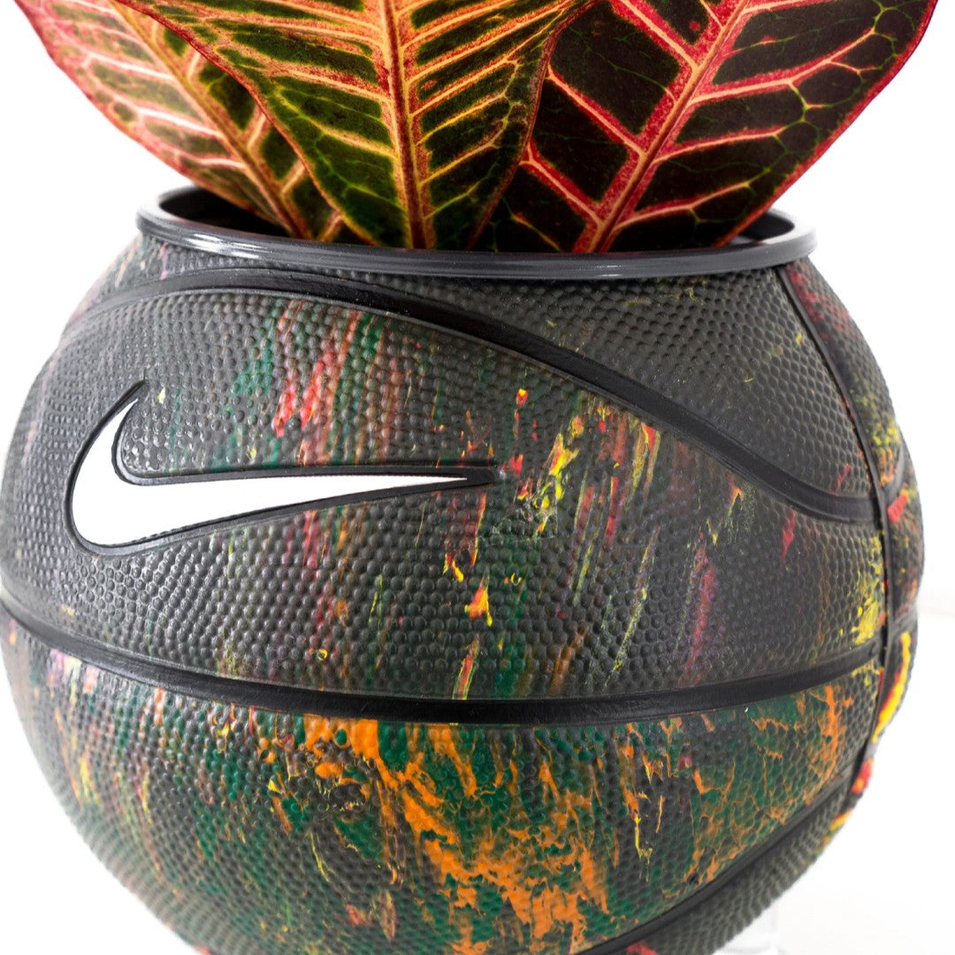 Matera mini basket plant Nature