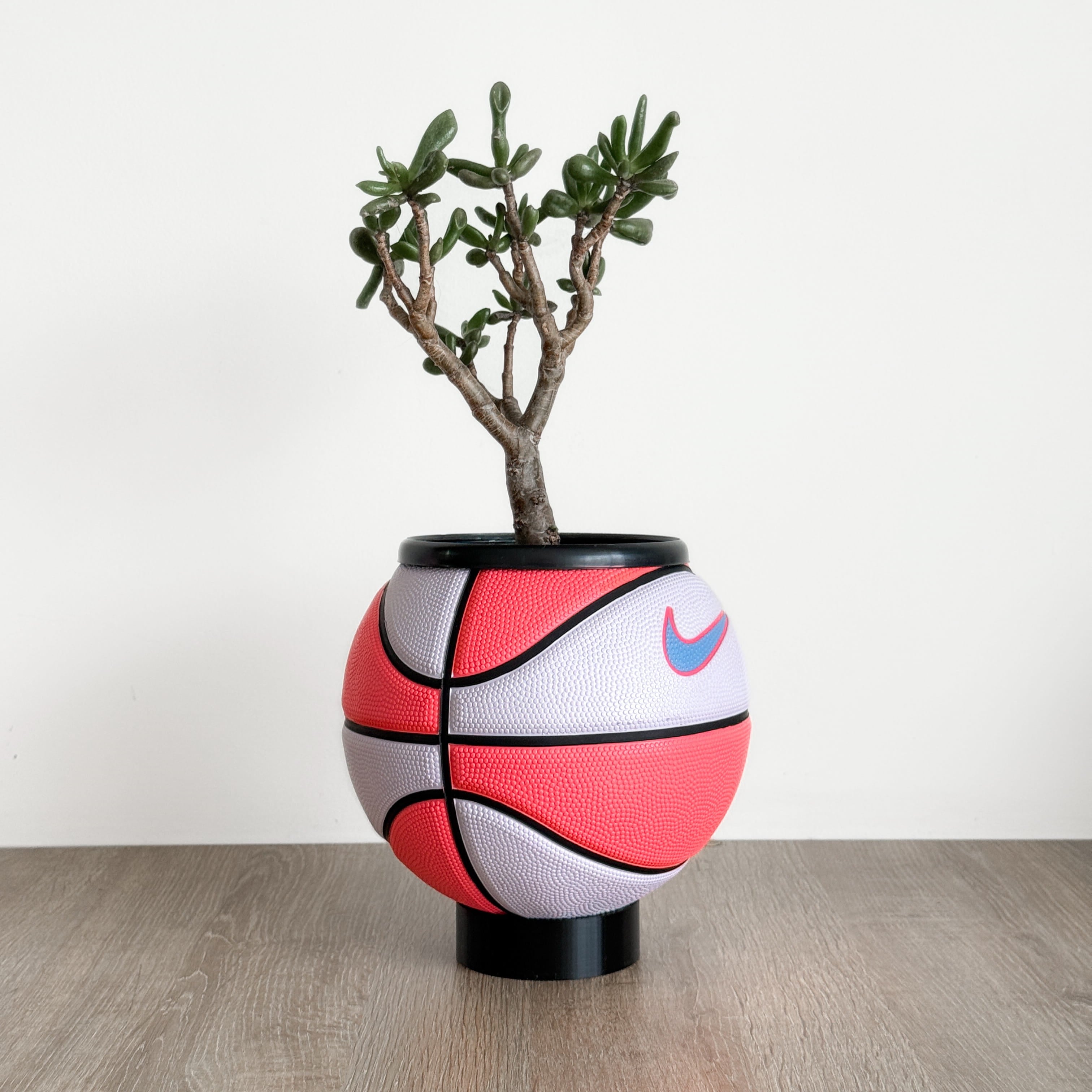 Matera mini basket plant pink candy