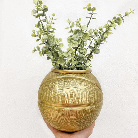 Matera mini basket plant golden