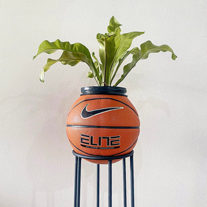 Matera basket plant Nike elite