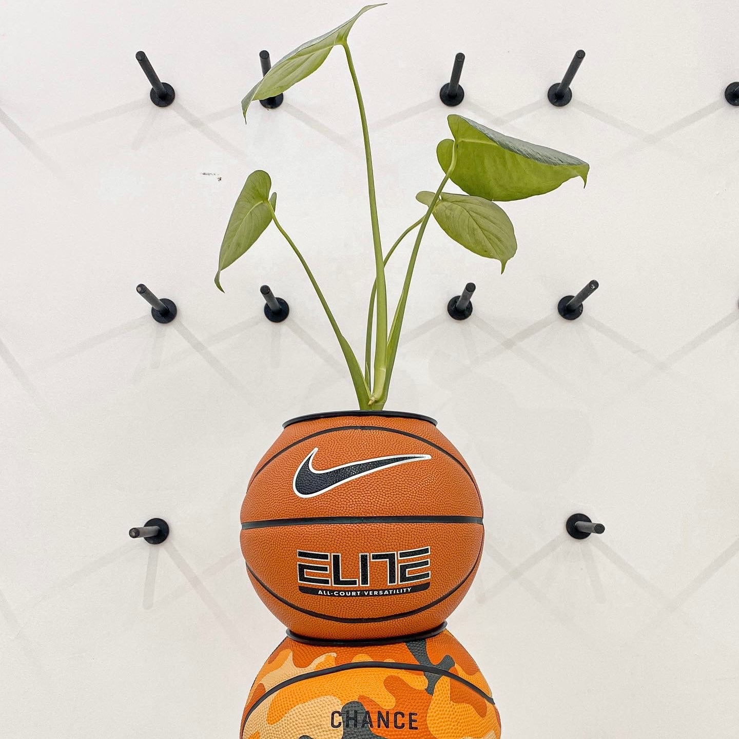 Matera basket plant Nike elite