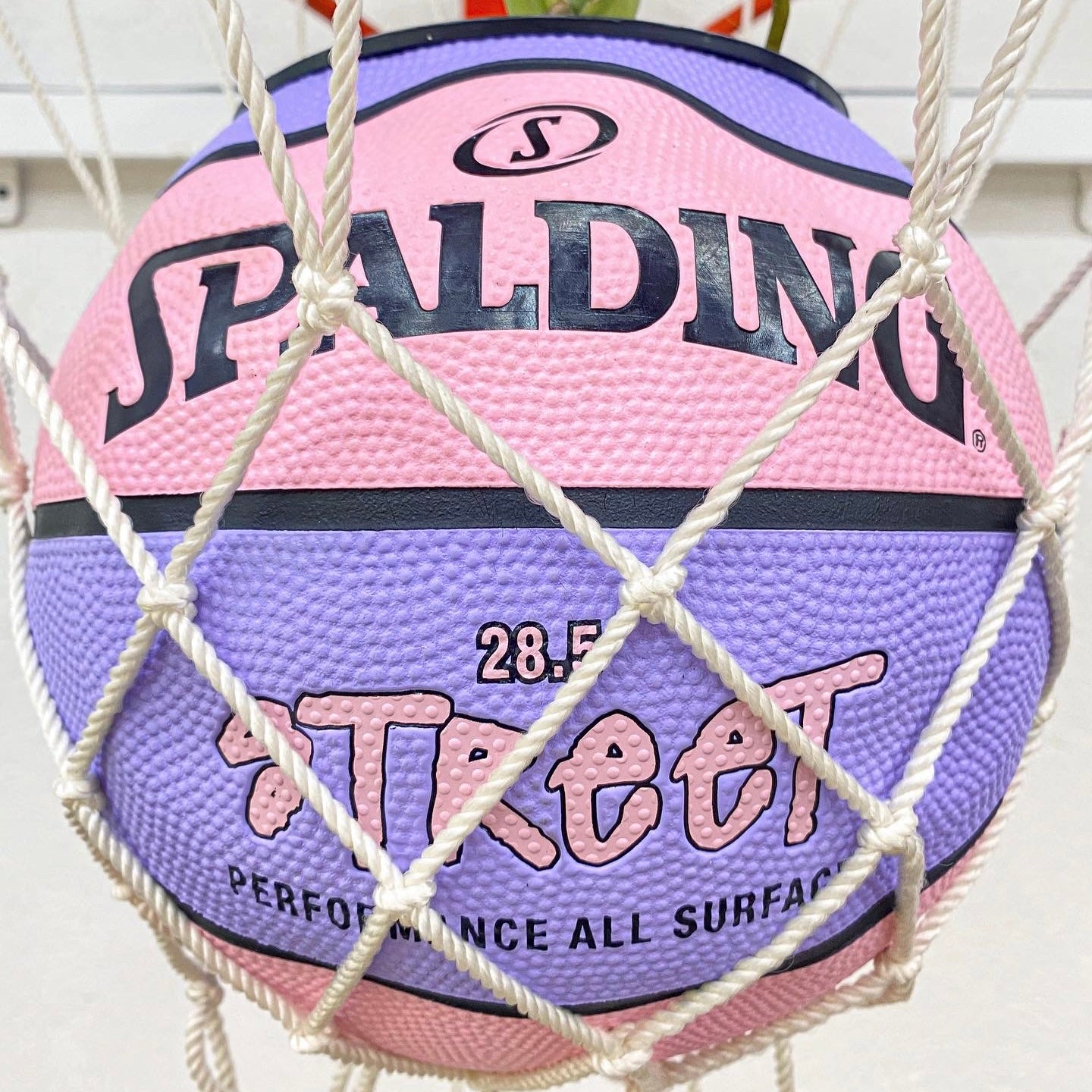 Matera basket plant Spalding Street pink